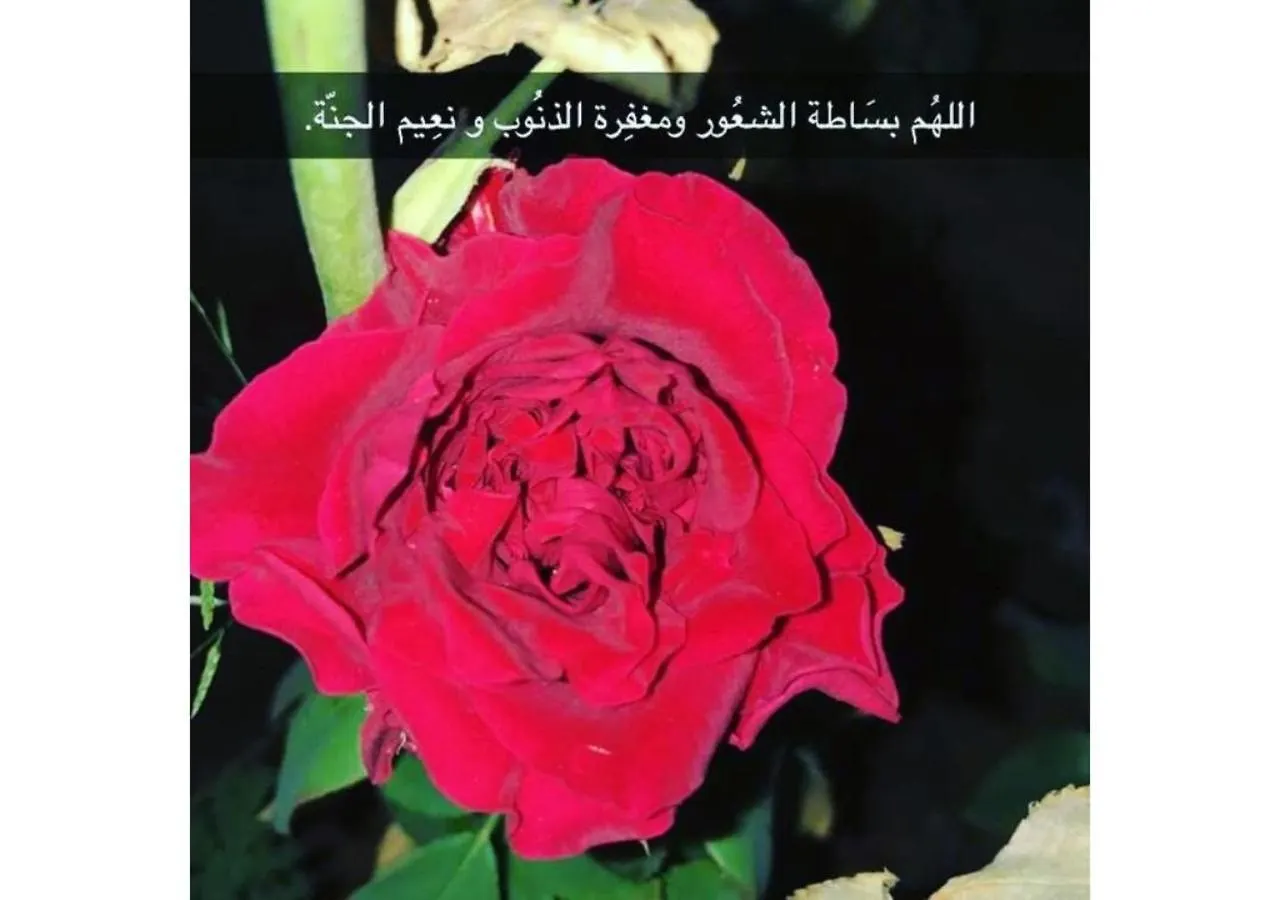 Shams W Qamar Chalets Ta'if 0*,  Saudi Arabia